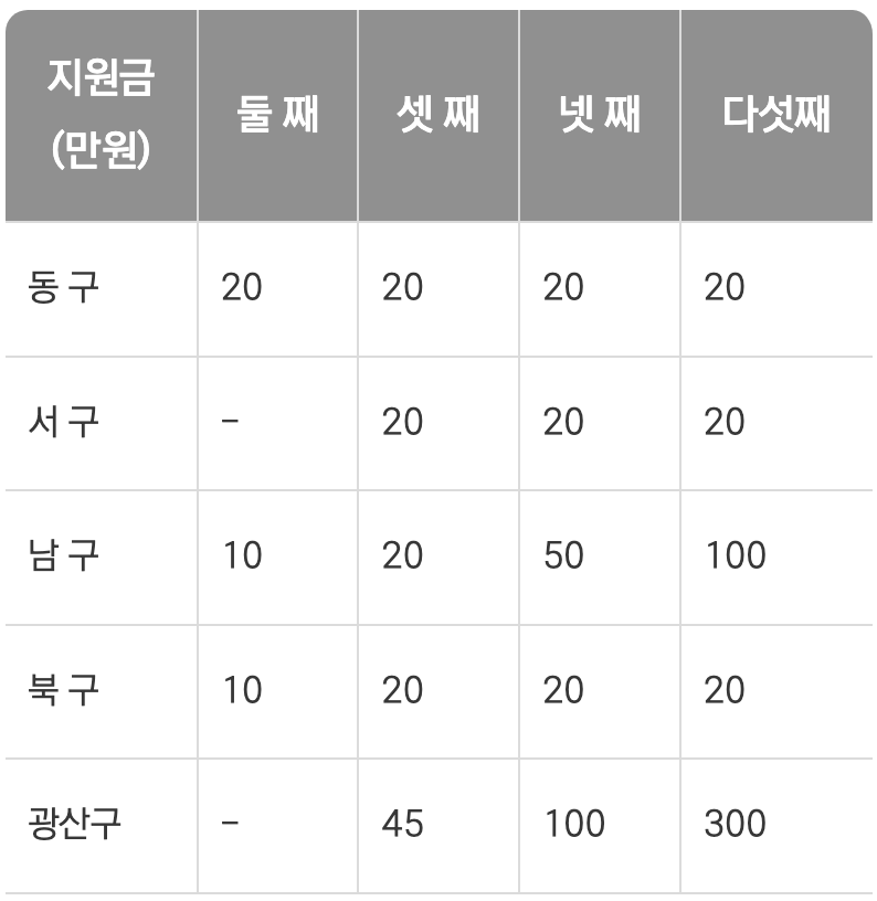 전라도 광주 출산지원금 자치구별 이미지